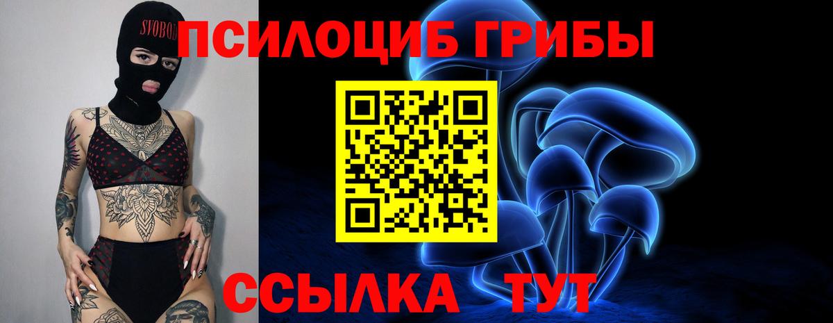 Ишим  Псилоцибиновые грибы Cubensis  Вход с VPN 